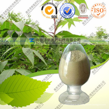 Fuente Directa de la fábrica Chinese Gall Extract Gallic Acid